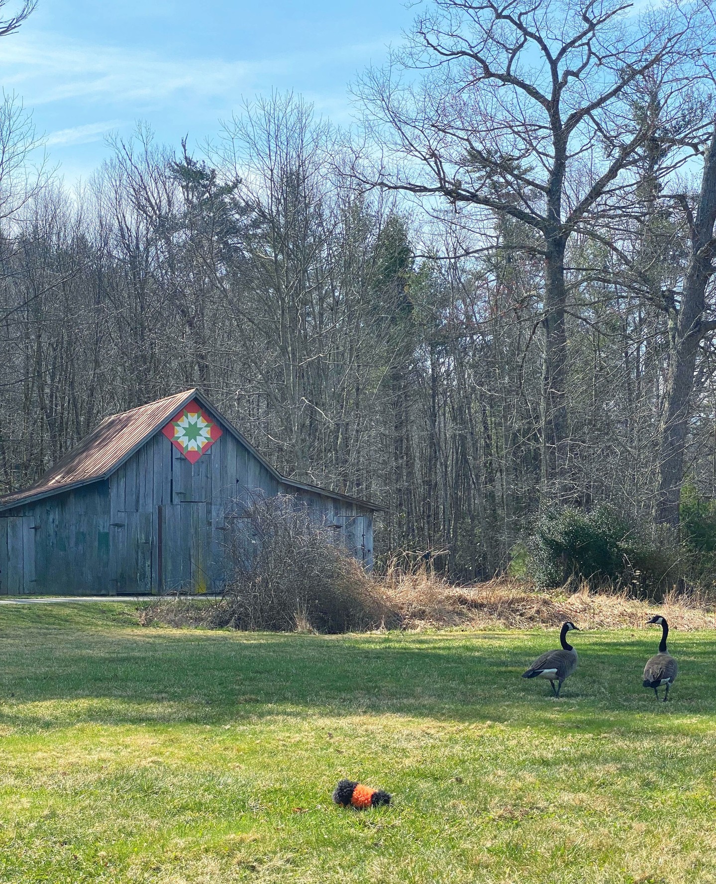 🐛 Spotted Merriweather at Tate Evans Park today! First walk of the season. Still squinting at the sun like it personally offended him. Said hi to the geese. Racing legs are a little rusty, but we're not gonna bring that up. Spring is waking things up around here. 👀🏁
#WoollyWorm2026 #WWF26 #Spring