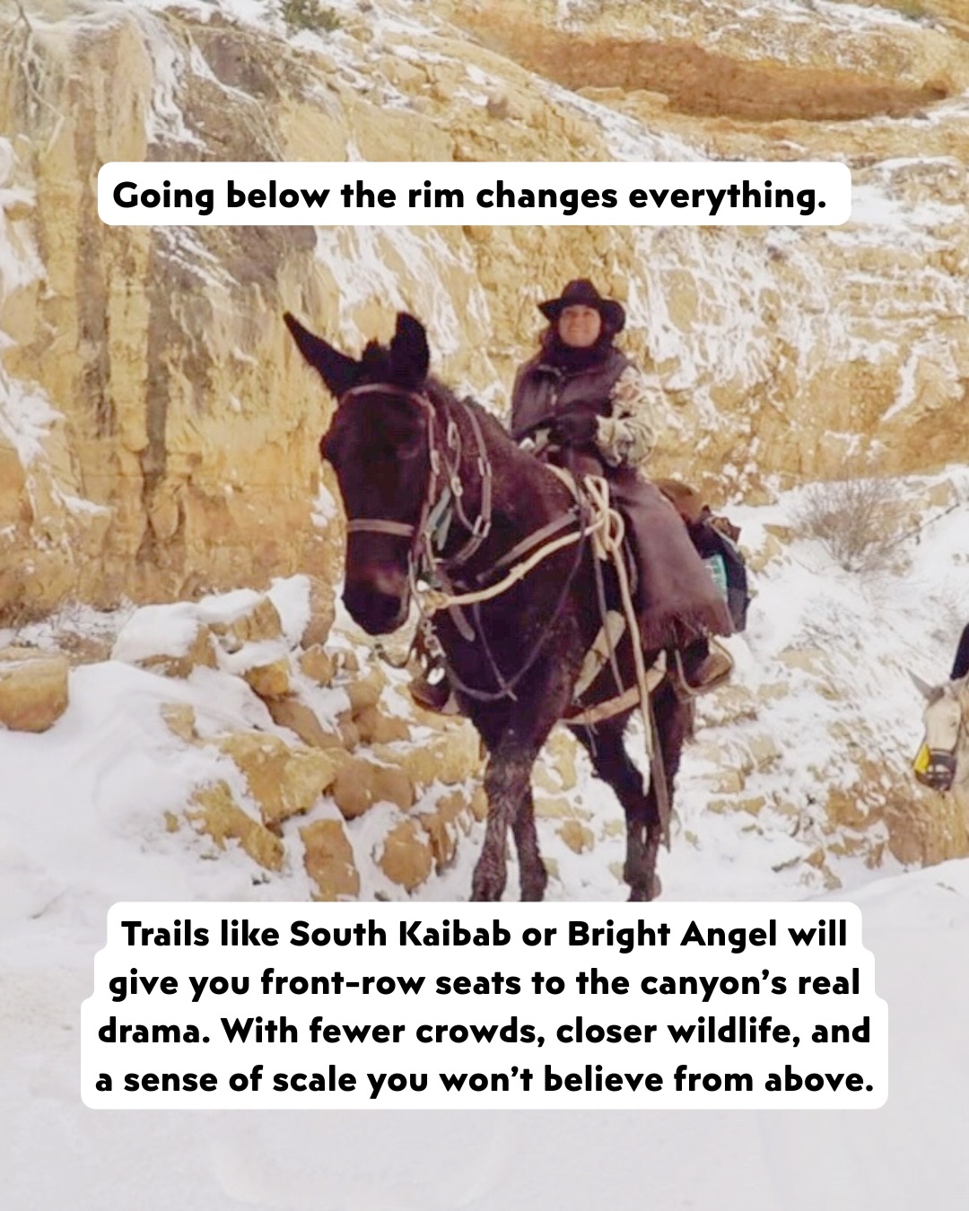 SAVE THIS—then please, for the love of all things holy, get off your couch. 💾🛋️🏃♂️
No shade to your living room (we love a Netflix marathon too), but the “wall art” outside is just as good as anything you’ve got. We’re talking 300-foot redwoods and glacial water that looks like a literal Gatorade commercial. 🏔️✨
After thousands of miles of travel, we’ve realized the “famous” spots are cool, but the real magic happens when you go just a little bit further than everyone else. We did the legwork (and the suspension-destroying drives) so you don’t have to. 🚜💨
The juice is all in the slides. ⬆️ Swipe through to see:
• The Alaska park that’s 6x the size of Yellowstone but feels like your own private wilderness. 🏔️
• How we got a massive ocean fortress all to ourselves (it involves a ferry and a lot of stars). 🏝️
• The one spot where “high noon” is actually the best time for photos—trust us on this one. 📸
We’re sharing the trail names, the “secret” roads, and even our favorite post-hike carb stops so your summer planning is officially handled. 🍟
Which of these would actually make you leave the house? 👇 Let us know in the comments, and stay tuned for Part 2—more bucketlist worthy National Parks are headed your way! 🔥
#USABucketlist #USNationalParks #SummerBucketlist #USATravel #Adventuretravel