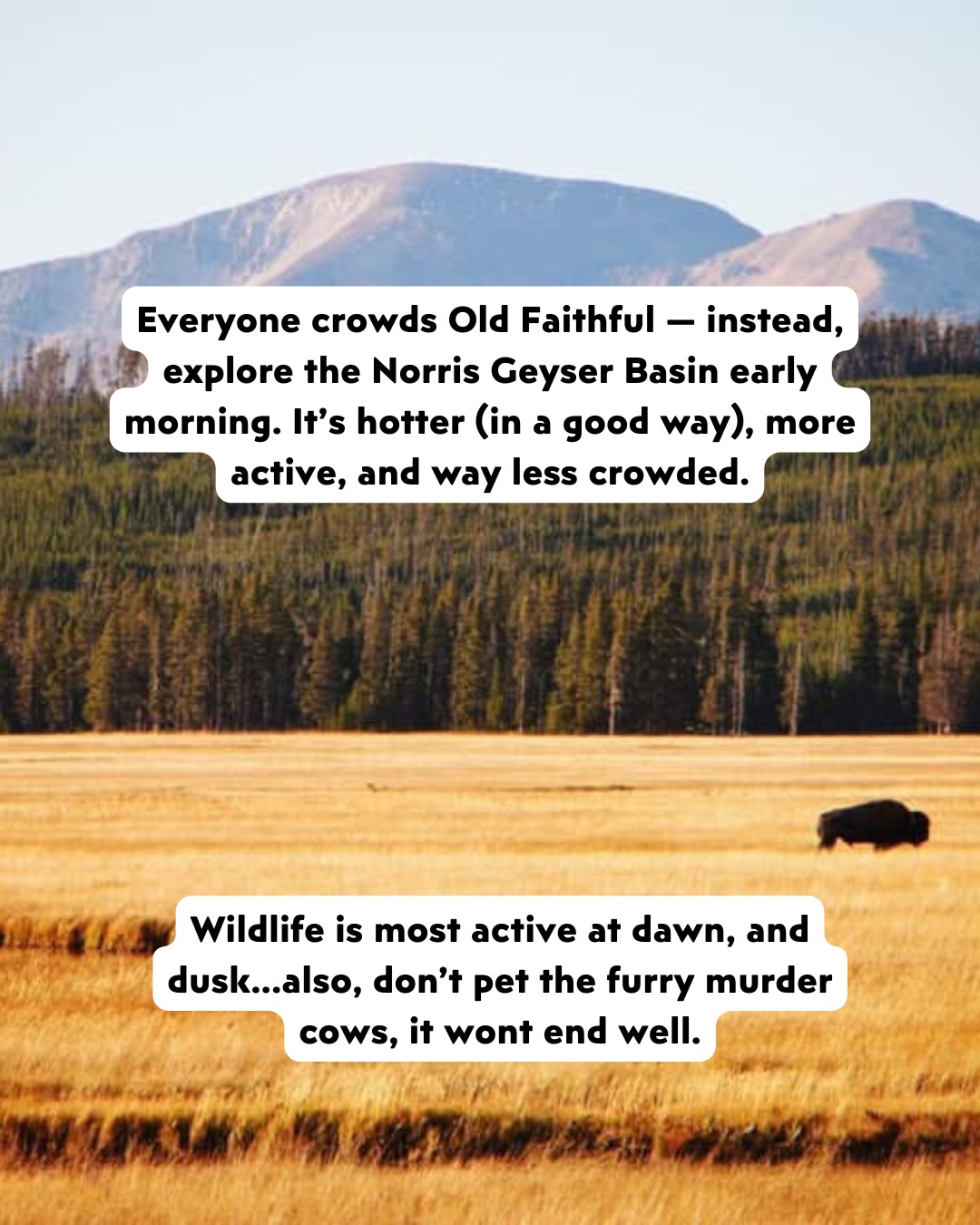 SAVE THIS—then please, for the love of all things holy, get off your couch. 💾🛋️🏃♂️
No shade to your living room (we love a Netflix marathon too), but the “wall art” outside is just as good as anything you’ve got. We’re talking 300-foot redwoods and glacial water that looks like a literal Gatorade commercial. 🏔️✨
After thousands of miles of travel, we’ve realized the “famous” spots are cool, but the real magic happens when you go just a little bit further than everyone else. We did the legwork (and the suspension-destroying drives) so you don’t have to. 🚜💨
The juice is all in the slides. ⬆️ Swipe through to see:
• The Alaska park that’s 6x the size of Yellowstone but feels like your own private wilderness. 🏔️
• How we got a massive ocean fortress all to ourselves (it involves a ferry and a lot of stars). 🏝️
• The one spot where “high noon” is actually the best time for photos—trust us on this one. 📸
We’re sharing the trail names, the “secret” roads, and even our favorite post-hike carb stops so your summer planning is officially handled. 🍟
Which of these would actually make you leave the house? 👇 Let us know in the comments, and stay tuned for Part 2—more bucketlist worthy National Parks are headed your way! 🔥
#USABucketlist #USNationalParks #SummerBucketlist #USATravel #Adventuretravel